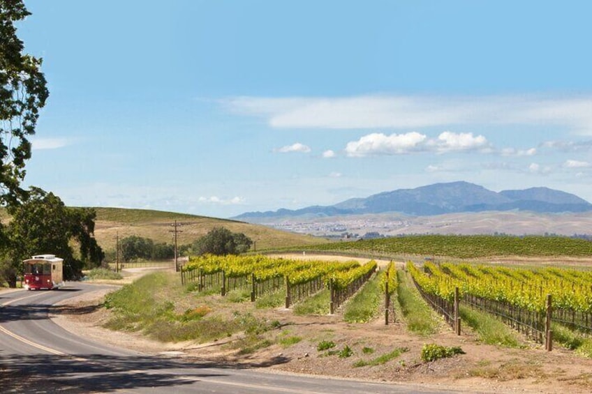Beautiful Views of the Livermore Valley Wine Country