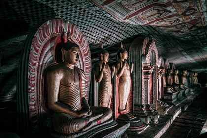 Todo Incluido - Excursión de un día a Sigiriya y Dambulla desde Kandy