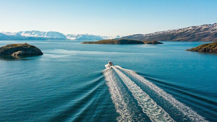 Guided Adventure Cruise in Alta Fjord