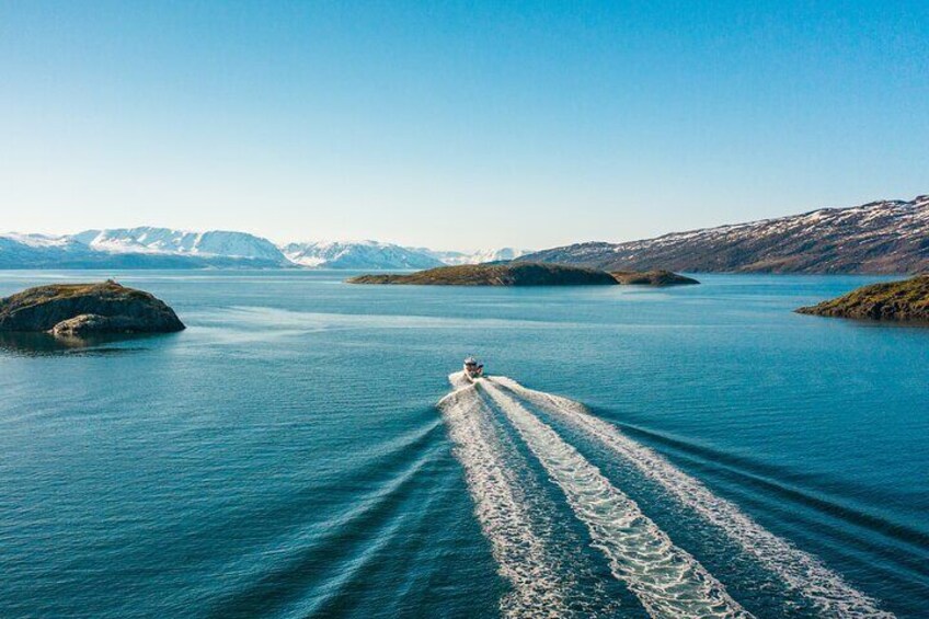 Guided Adventure Cruise in Alta Fjord