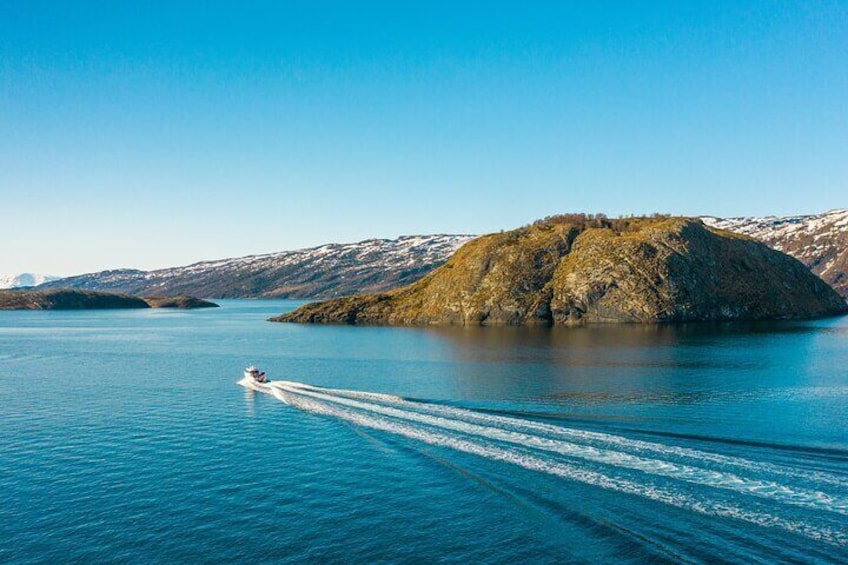 Guided Adventure Cruise in Alta Fjord