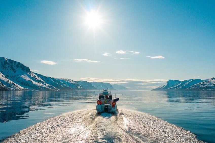 Guided Adventure Cruise in Alta Fjord