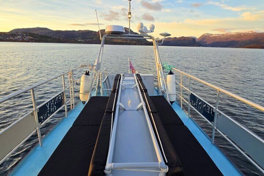 Alta: 2-Hour Guided Adventure Cruise in Alta Fjord