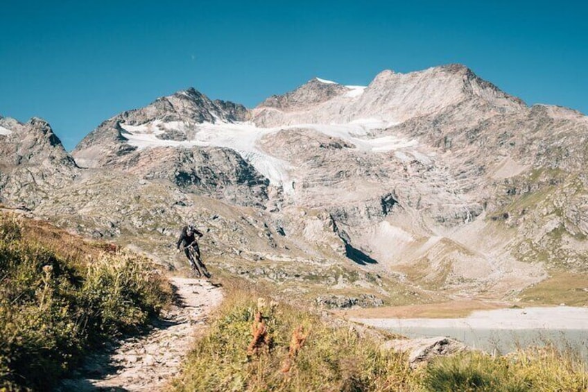 Discover Engadina with a Private Guided Bike Tours