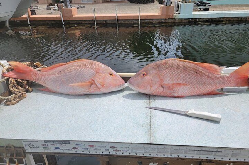 Marathon Florida Keys Fishing Experience