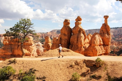Private Group:Bryce & Zion National Park Tour from Las Vegas