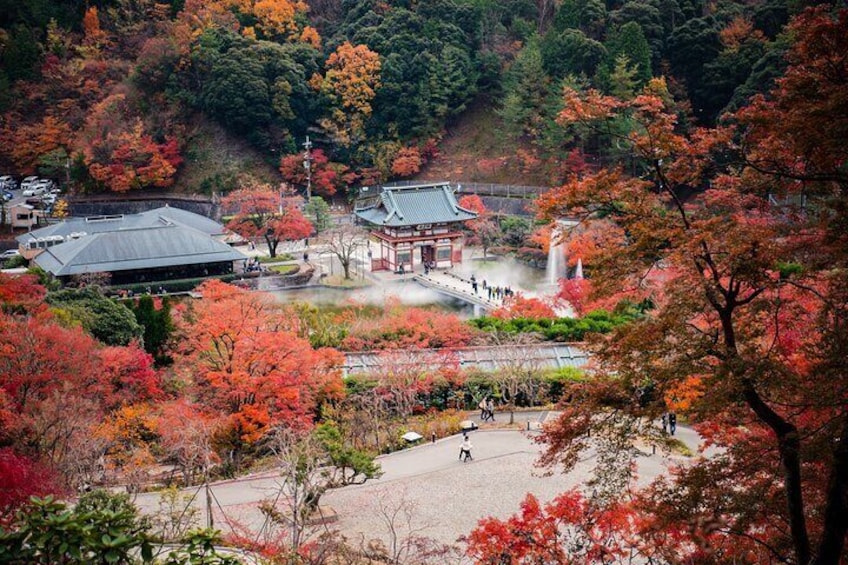 Perfect 4 Day Sightseeing Tour in Japan