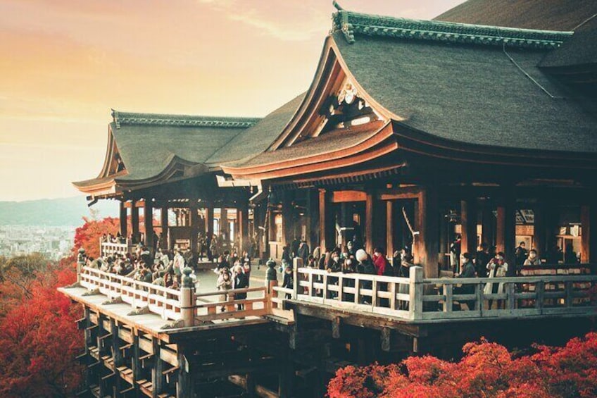 Perfect 4 Day Sightseeing Tour in Japan