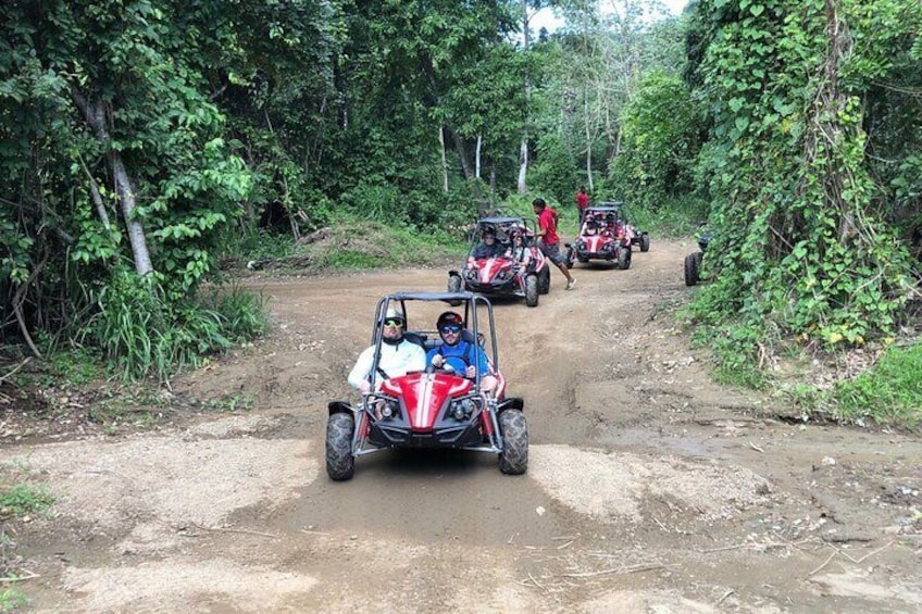 Private Punta Gorda Dune Buggy East End Cultural Tour