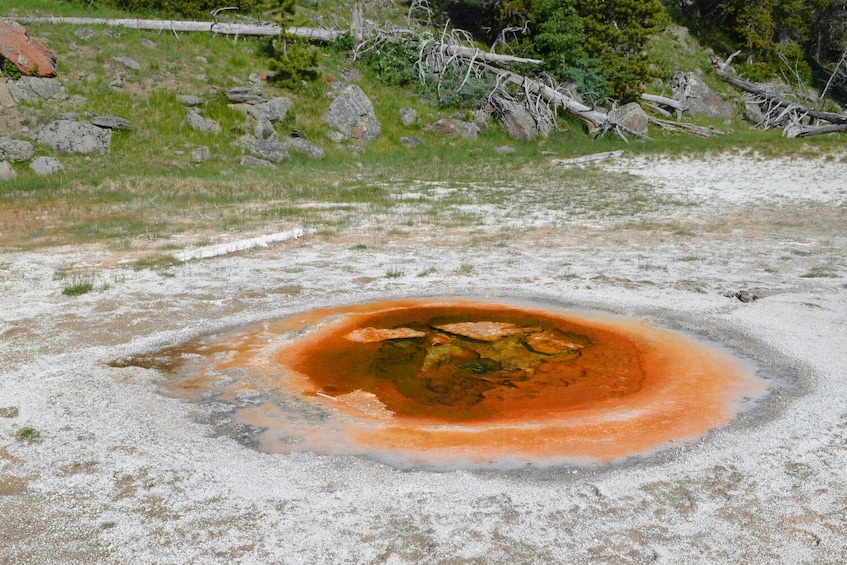 Old Faithful Self-Guided Walking Audio Tour