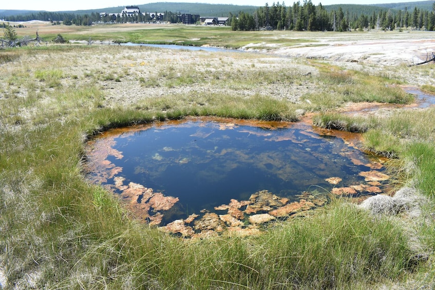 Old Faithful Self-Guided Walking Audio Tour