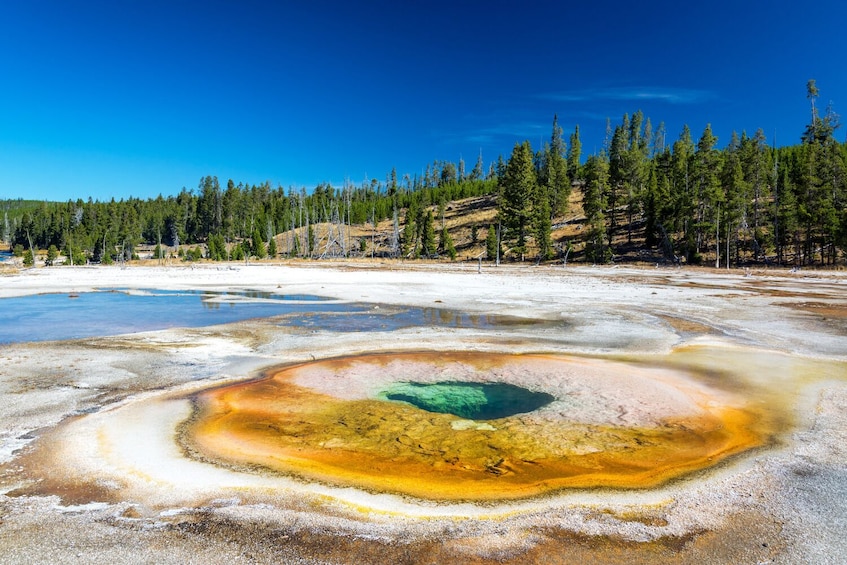 Old Faithful Self-Guided Walking Audio Tour