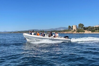 Boat Trip: Grotta del Fico, Cala Mariolu, Gabbiani & Biriala