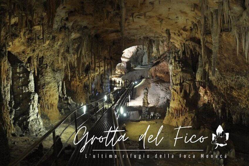 Guided visit to the Grotta del Fico