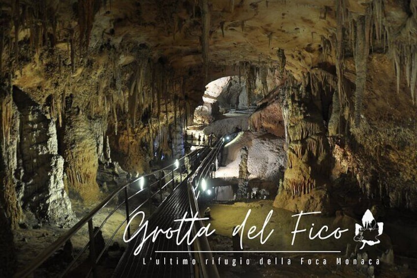 Guided visit to the Grotta del Fico