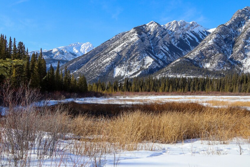 Banff Townsite Self-Guided Walking Audio Tour