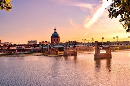 Toulouse : Private Custom Walking Tour with a Local Guide