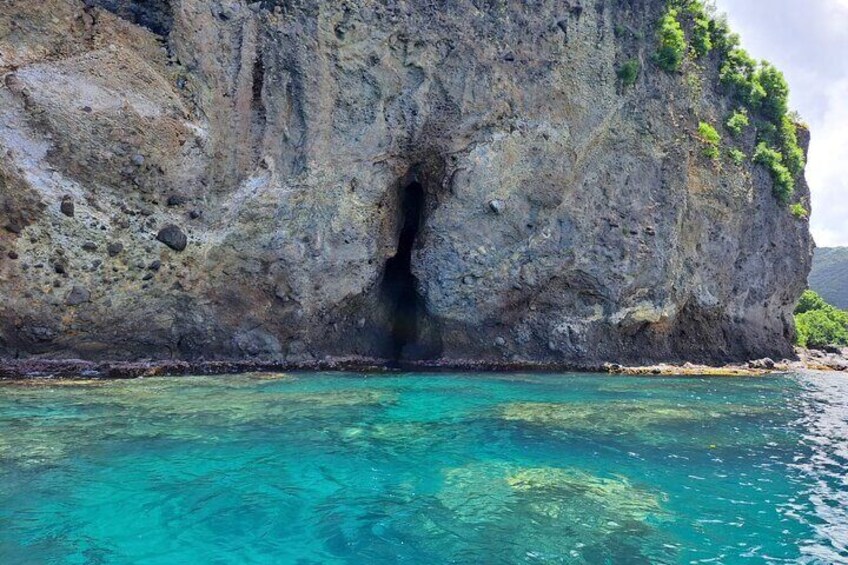 Discovery of dolphins on the Caribbean coast