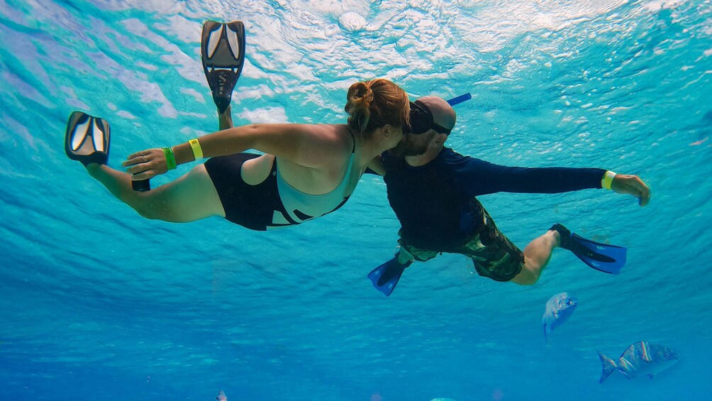 Cozumel Starfish and Tropical Reef Snorkeling by Powerboat with Lunch