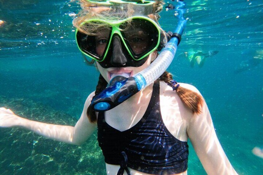 Ras al-Khaimah: Private Snorkeling with turtles with BBQ food
