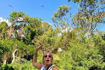 Flying Fox Experience, Thousands of Australia's Largest Bat