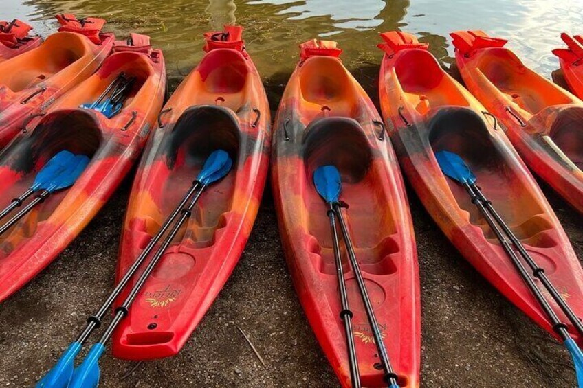 Downtown Sunset Kayak with 1.5 Million Bats