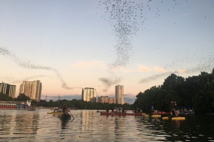 Downtown Sunset Kayak with 1.5 Million Bats