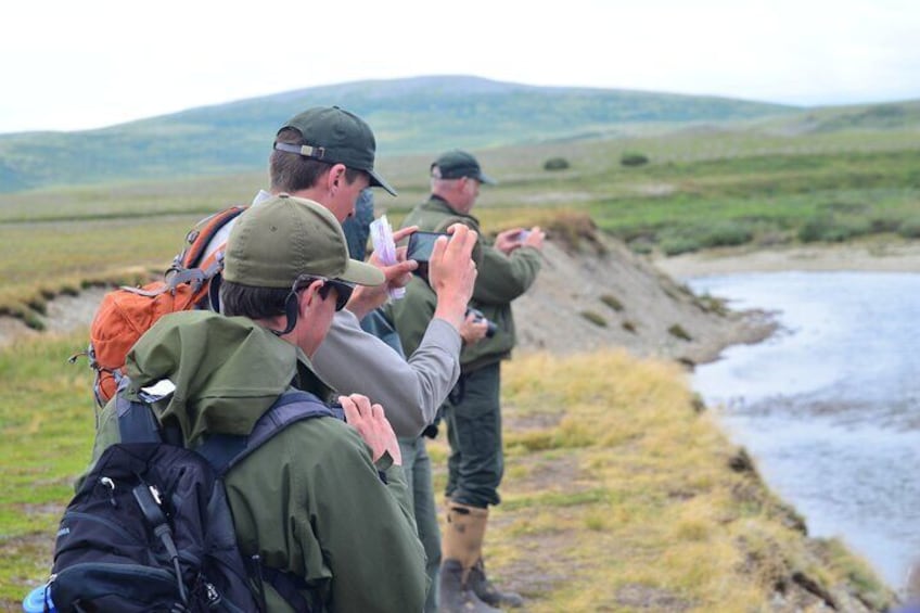 Late Summer Bear Viewing in Katmai National Park