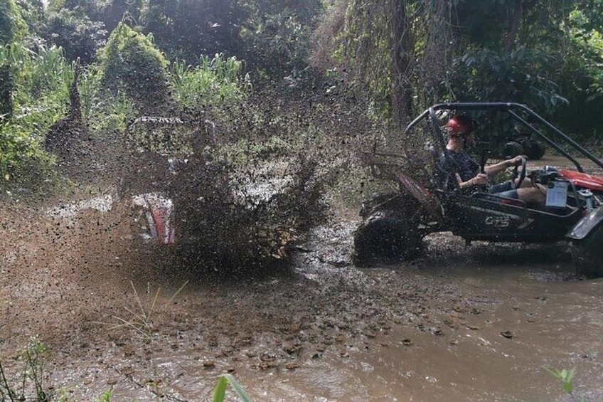 Dune Buggy Eco-Jungle Adventure & Beach Muddy Tour