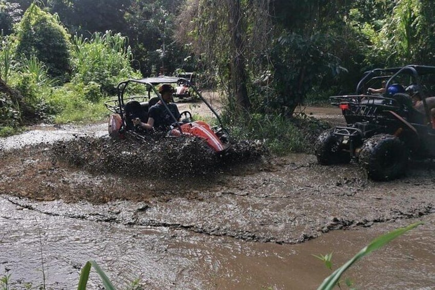 Dune Buggy Eco-Jungle Adventure Ride & Marbella Beach Mud-Pit Tour