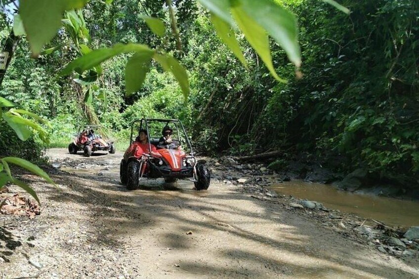 Dune Buggy Eco-Jungle Adventure Ride & Marbella Beach Mud-Pit Tour