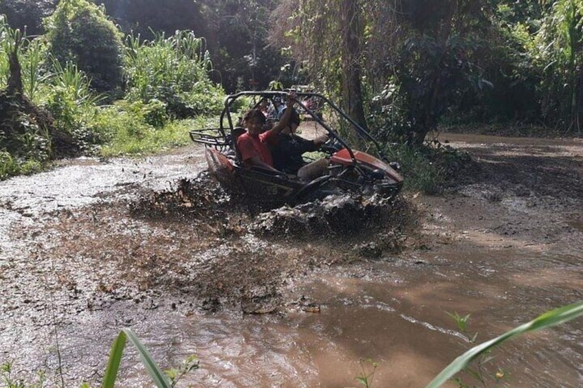 Dune Buggy Eco-Jungle Adventure Ride & Marbella Beach Mud-Pit Tour