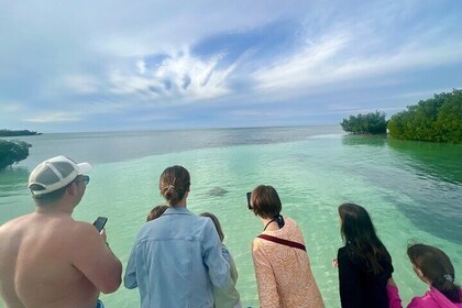 Experiencia en barco de medio día en Cayo Hueso: ¡nada, bebe y disfruta del...