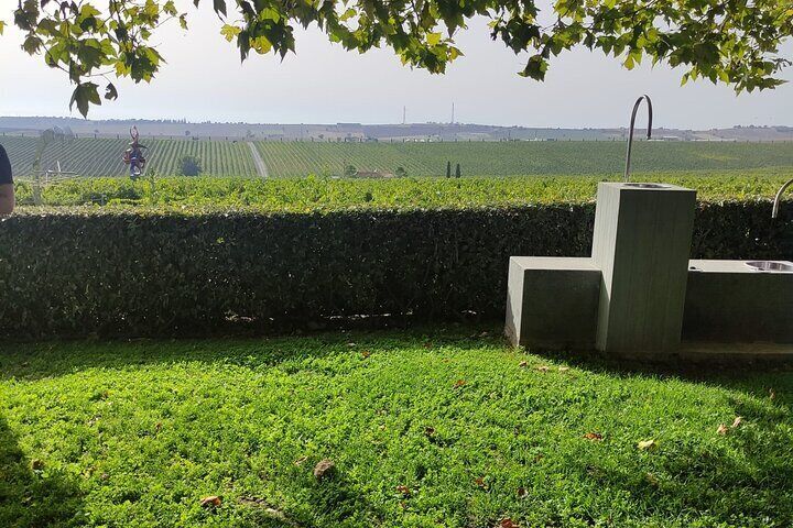 Ktima Gerovassiliou Wine Tour & Museum – Thessaloniki”