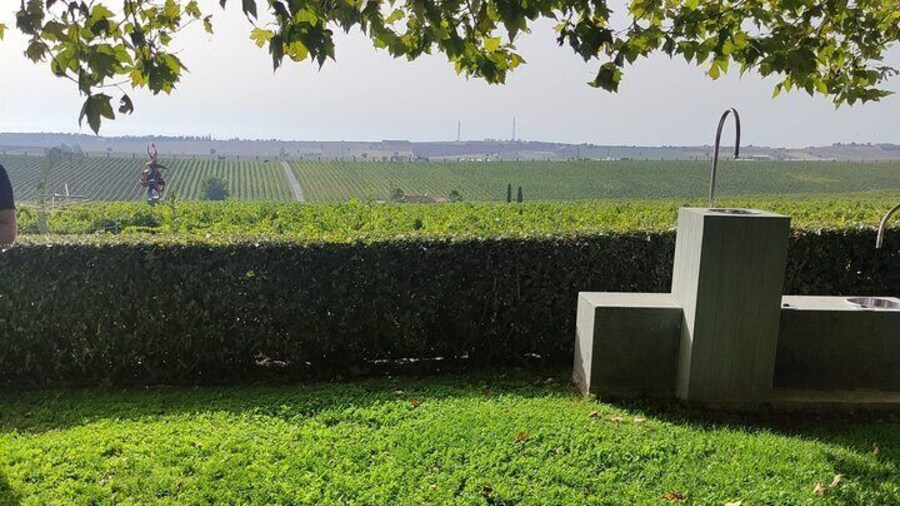 Ktima Gerovassiliou Wine Tour & Museum – Thessaloniki”