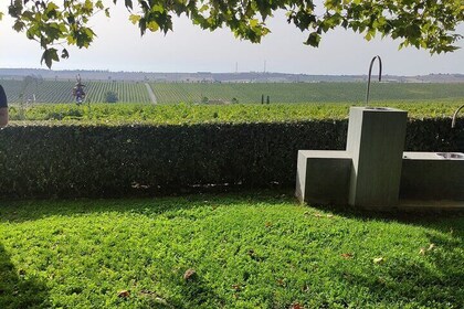 Ktima Gerovassiliou Wine Tour & Museum – Thessaloniki”