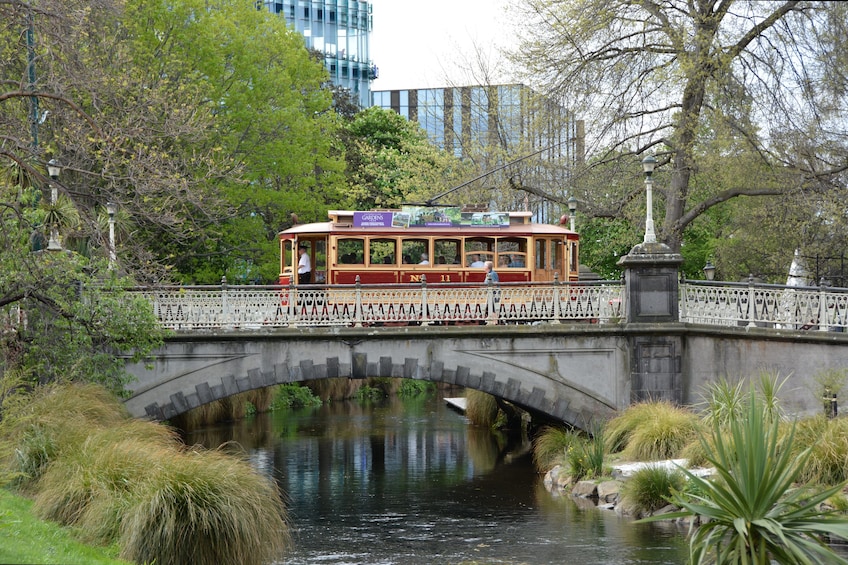 Lyttelton Shore Excursion: City Highlights with Best Attractions 