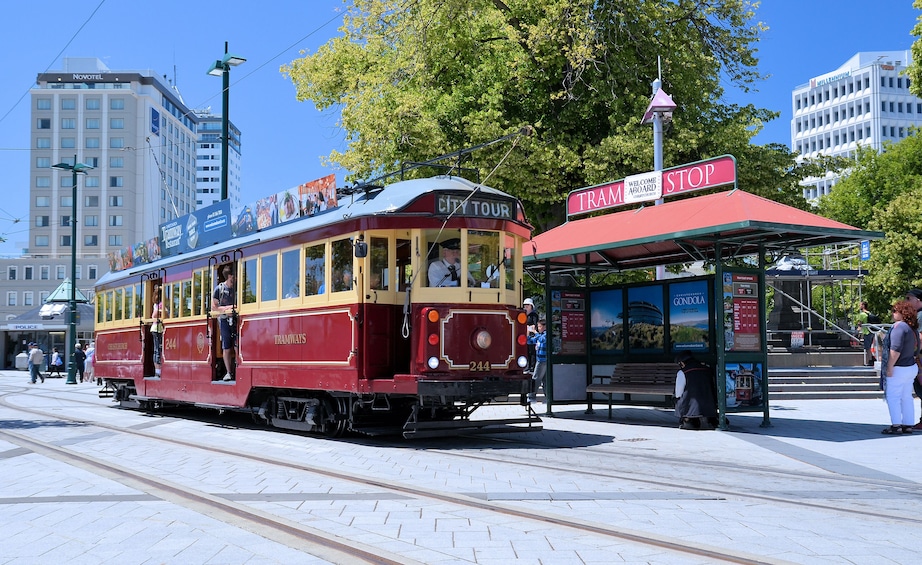 Lyttelton Shore Excursion: City Highlights with Best Attractions 