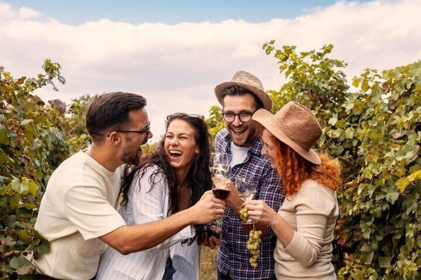 Private Walking Tour in Baden Neuweirs Vineyard