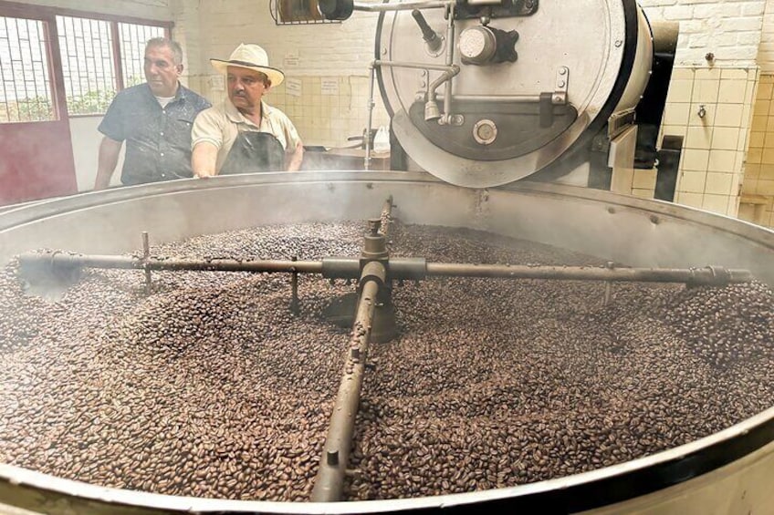 Full Day learning about the Process of the Best Coffee in the World