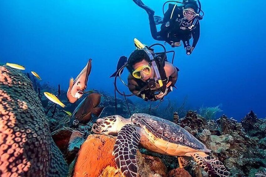Full Day Scuba Diving Experience in Marmaris 
