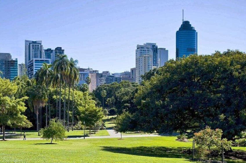 Brisbane Local Icons Tour