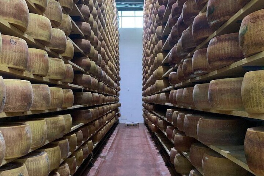Bologna Day Tour Parmigiano, Balsamic and Lambrusco 