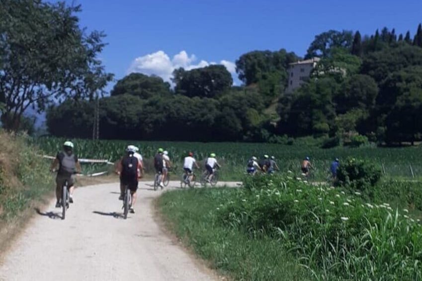 E-Bike tour with stop in the cellar in the Bardolino area