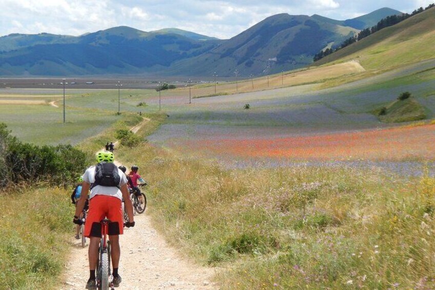 Sibillini Natural Park