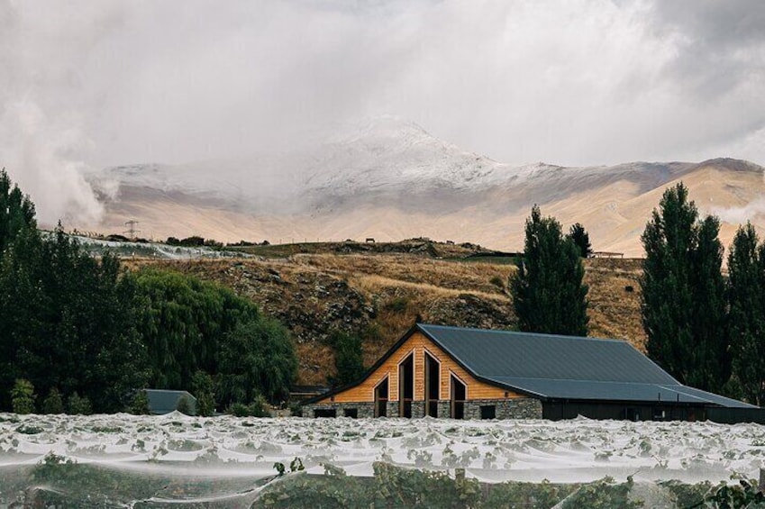 Kinross Winery: Classic Central Otago Wine Tasting Experience
