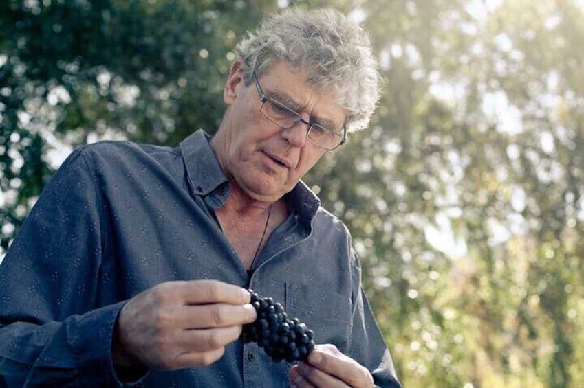 Valli Wine Tasting Experience