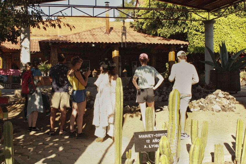 Picture 3 for Activity From Oaxaca de Juarez: Hierve el Agua and Mezcal Distillery