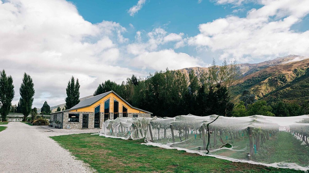 Picture 2 for Activity Queenstown: Premium Central Otago Wine Tasting Experience