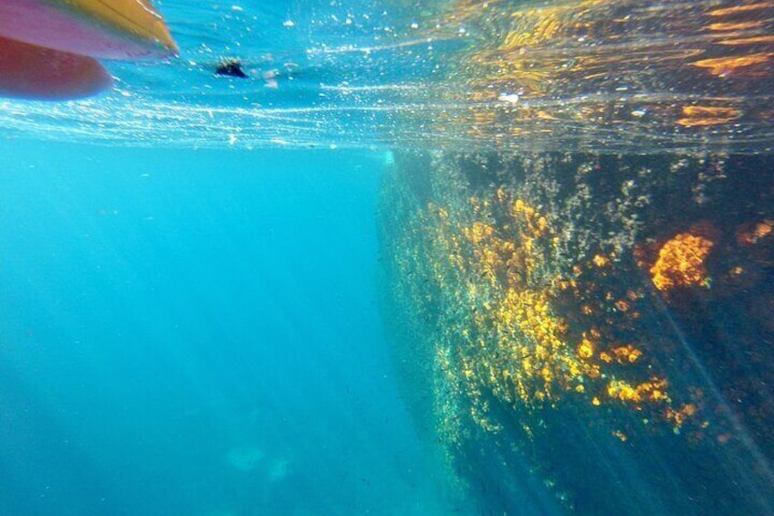 Excursión Kayak y Snorkelling en Acantilados de Maro Cerro Gordo